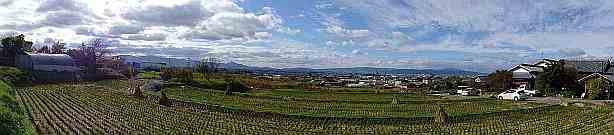 画像の説明 画像の説明