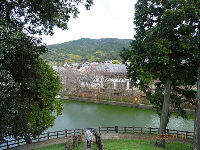 画像の説明 画像の説明