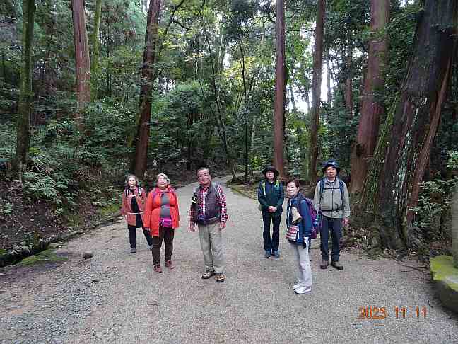 画像の説明 画像の説明