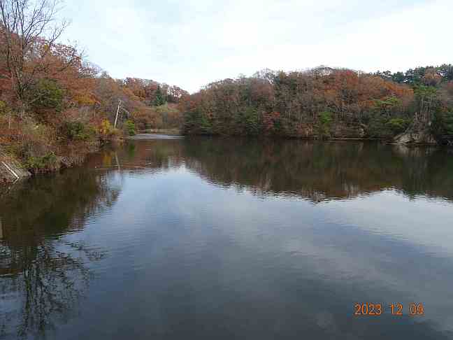 画像の説明 画像の説明