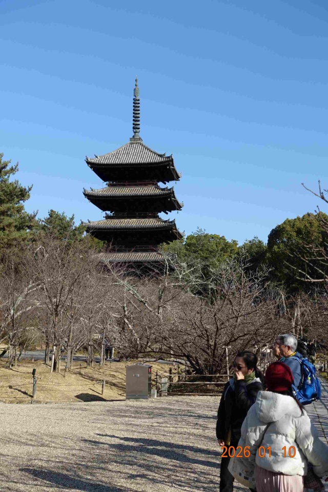 画像の説明 画像の説明