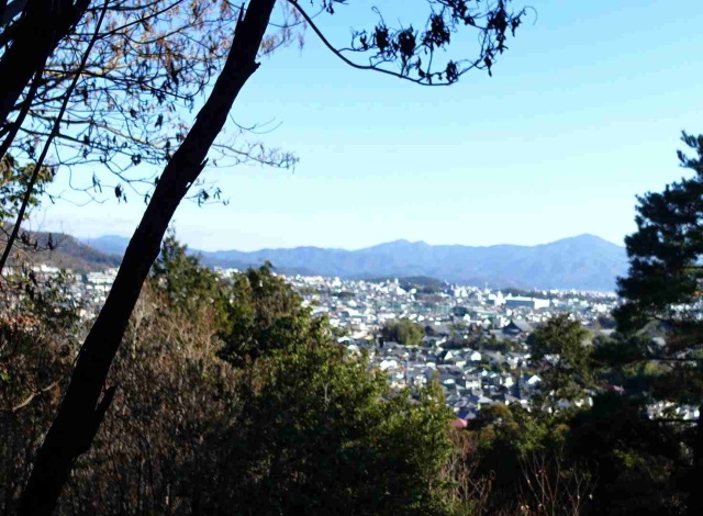 画像の説明 画像の説明