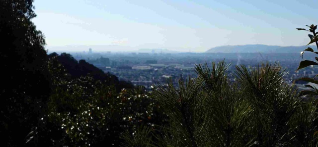 画像の説明 画像の説明