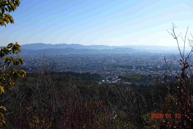 画像の説明 画像の説明